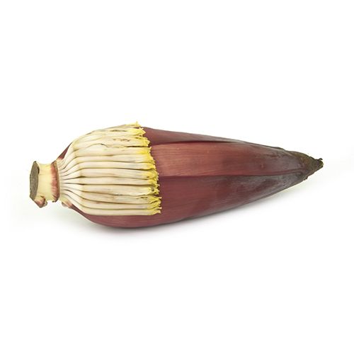 Fresho Banana - Flower/Vazhaipoo, 1 pc