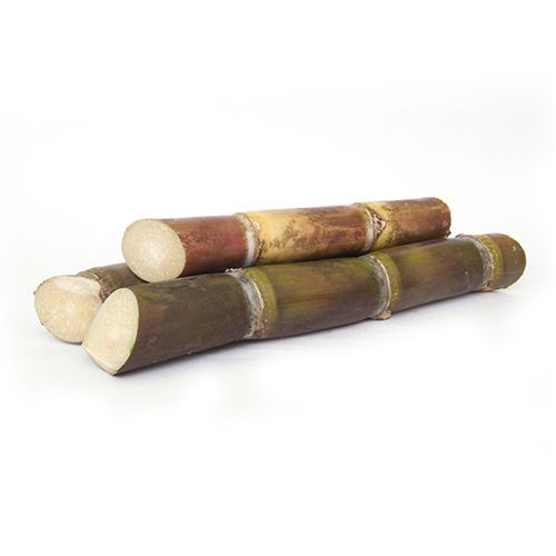 Fresho Sugarcane, 1 pc
