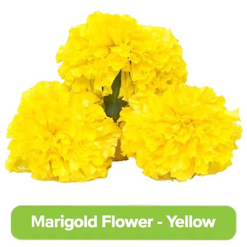 Fresho Marigold Flower - Yellow, 100 g
