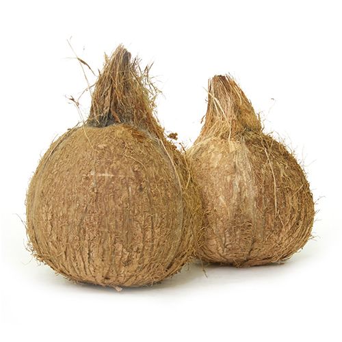 Fresho Coconut - Organically Grown, 1 pc