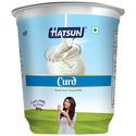 Hatsun Cup Curd, 400 g Cup